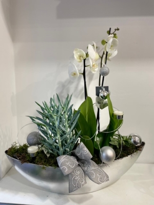 Luxury Orchid plant collection in whites and greens with candle holders silver base bowl