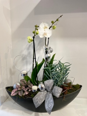 Luxury orchid plant collection white and silver with candle holders