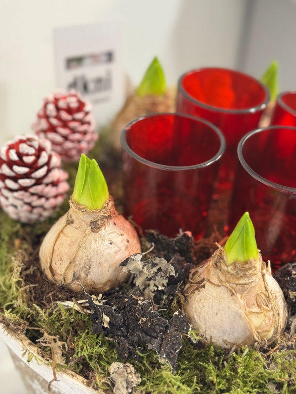 Round basket Hyacinth planted table centre with t light holders