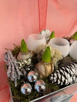 Hyacinth planted Christmas zink arrangement